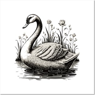 Beautiful Swan Posters and Art